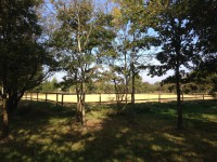 /album/les-ecuries-de-so/img-2977-jpg1/