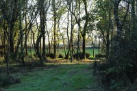 /album/les-ecuries-de-so/img-1810-jpg/