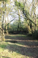 /album/les-ecuries-de-so/img-1820-jpg/