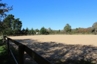 /album/les-ecuries-de-so/img-8443-jpg/