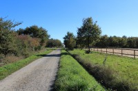 /album/les-ecuries-de-so/img-8451-jpg/