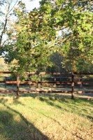 /album/les-ecuries-de-so/img-1806-jpg/