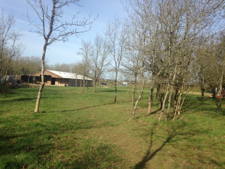 Implanté dans la verdure