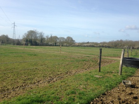 11 Paddocks en herbes